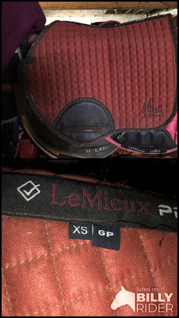 Mini Suede Jump Square Sienna, Lemieux, Amy , Andere Pads, Heathfield, Abbildung 3