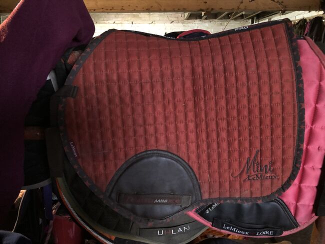 Mini Suede Jump Square Sienna, Lemieux, Amy , Other Pads, Heathfield