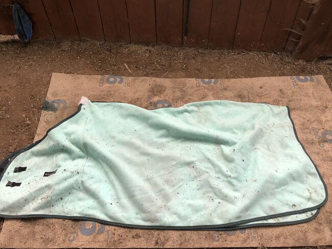 Mint green fleece 155cm, Kayleigh, Horse Blankets, Sheets & Coolers, Southampton