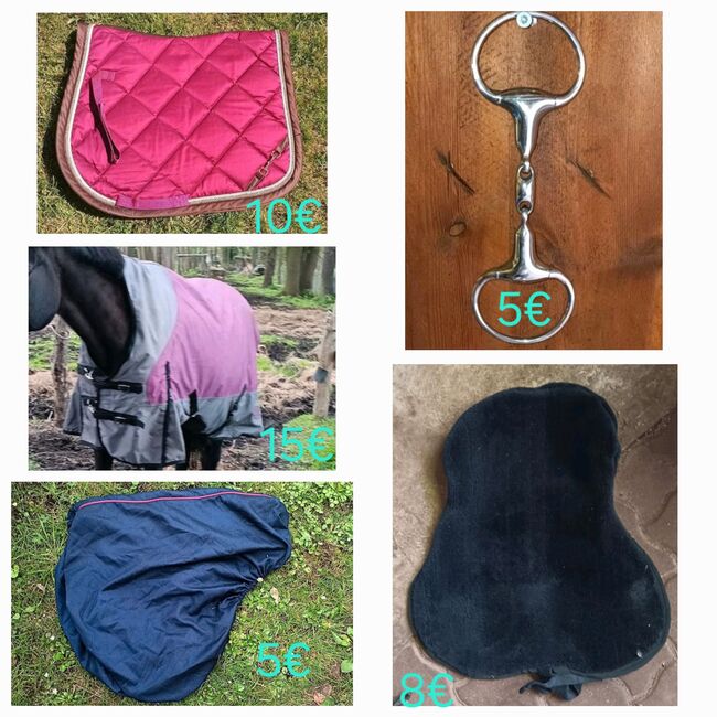 Diverses Pferdezubehör, Eskadron , Stella, Dressage Pads, Raddusch, Image 2