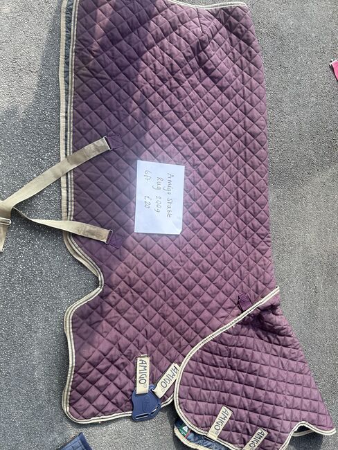 Mixture of rugs, Rachael Henriksen, Horse Blankets, Sheets & Coolers, West Ella, Image 2