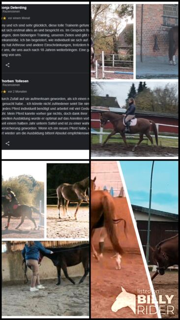 Beritt mobil, Saskia Rosche (Sliont Equine), Other, Wittorf, Image 6