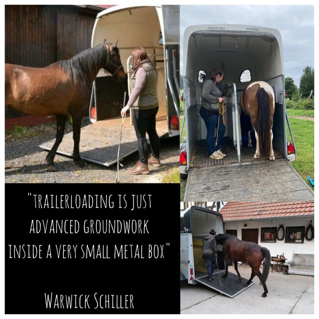 Mobiler Unterricht: Horsemanship, Freiarbeit, Problemlösungen, Theresa Schmitt, Other, Witzenhausen, Image 2