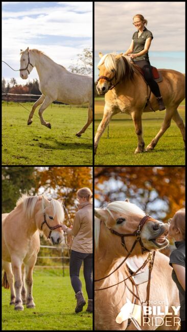 Mobiles Pferdetraining, Reitunterricht, Bodenarbeit, Lea Acker, Riding Lessons, Neufra, Image 7