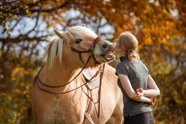 Mobiles Pferdetraining, Reitunterricht, Bodenarbeit, Lea Acker, Riding Lessons, Neufra, Image 4