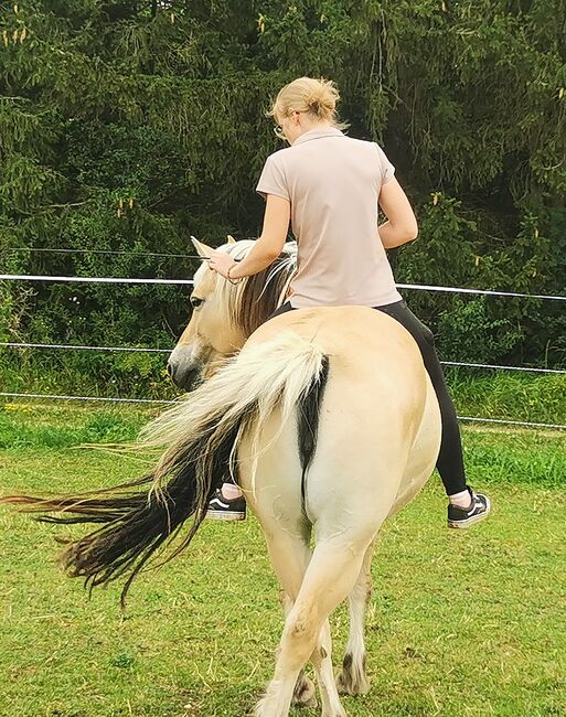 Mobiles Pferdetraining, Reitunterricht, Bodenarbeit, Lea Acker, Riding Lessons, Neufra, Image 5