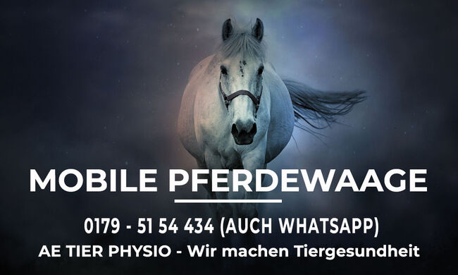 Mobile Pferdewaage Raum Hannover - Verden- Hildesheim - Deister, AE Tier Physio (AE Tier Physio), Other, Burgdorf