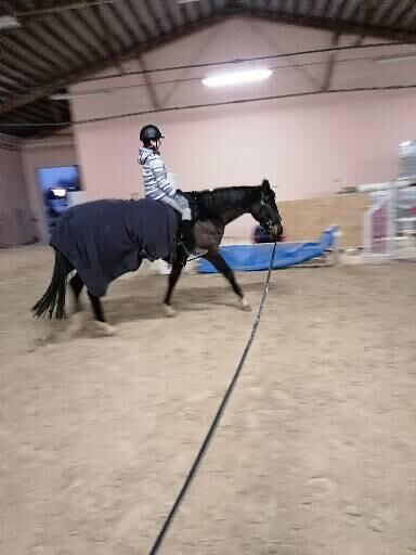 Mobiler Reitunterricht, Claudia D., Riding Lessons, Zwickau, Image 4