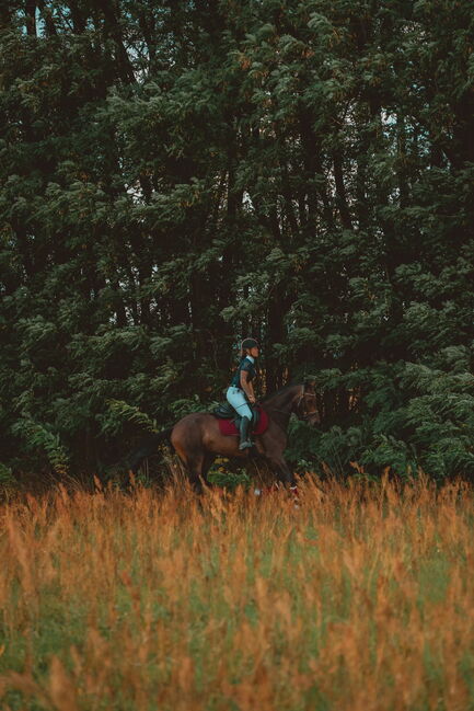 mobiles Reittraining, Jennifer Langner, Riding Lessons, Bernau, Image 6