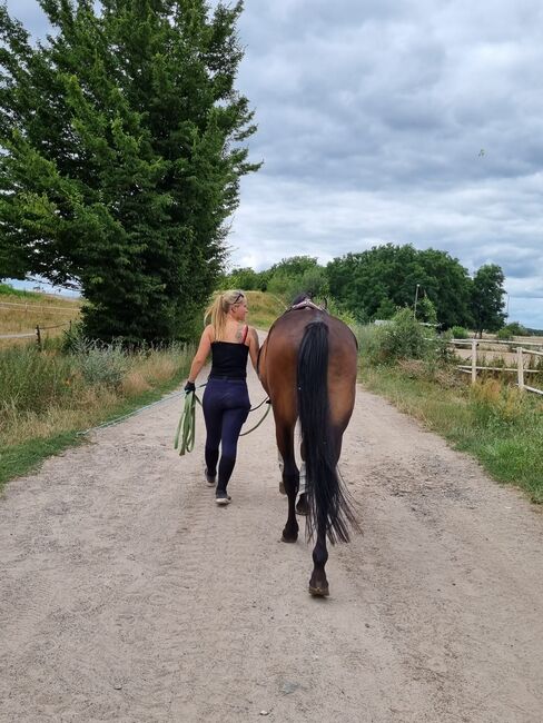 mobiles Reittraining, Jennifer Langner, Riding Lessons, Bernau, Image 4