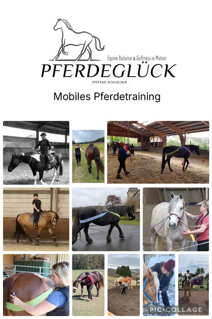 Mobiles Pferdetraining & Reitunterricht, Stefanie Schleicher , Riding Lessons, Nohn