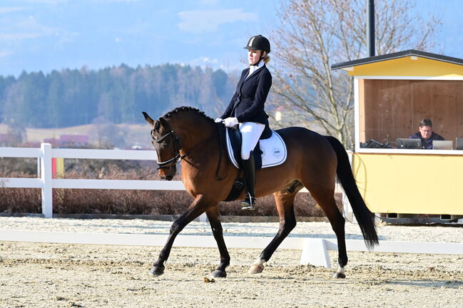 Mobiler Unterricht, Antonia Pichler , Riding Lessons, Kumberg