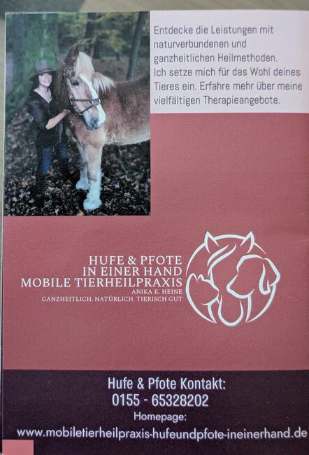 Mobile Tierheilpraxis Hufe und Pfote in einer Hand, A. Heine, Therapy & Treatment, Hemer