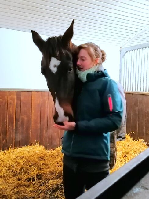 Mobiler Reitunterricht, Claudia D., Riding Lessons, Zwickau, Image 3