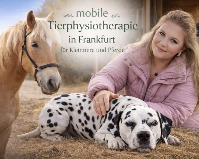 Mobile Tierphysio im Rhein-Main Gebiet, Jennifer Hammer Tierphysio, Therapy & Treatment, Frankfurt am Main