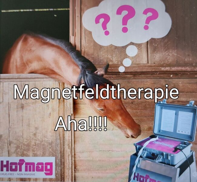 Mobile Magnetfeldtherapie mit dem HOFMAG, Brigitte Schreiner , Therapie & Behandlung, Neuhaus am Inn, Abbildung 2