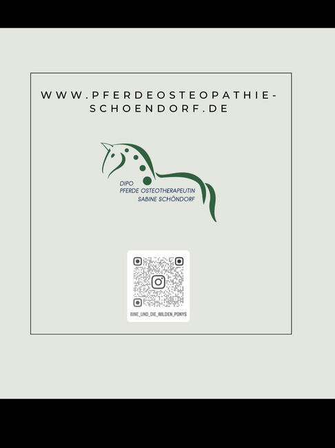 Mobile Pferdeosteopathie, Sabine Schöndorf, Therapie & Behandlung, Castrop-Rauxel