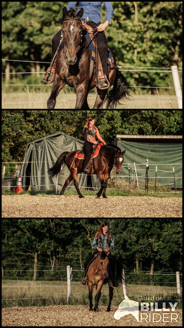 mobilen Reit-/Bodenarbeitsunterricht im Raum Erlangen, Strong Together Horsetraining UG, Verena + Janina, Riding Lessons, Gremsdorf, Image 4