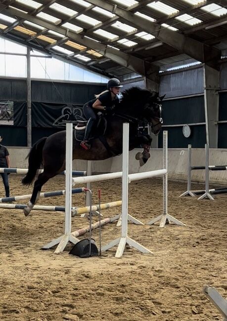 Mobiler Reitunterricht, Vaney, Riding Lessons, Seuzach, Image 3