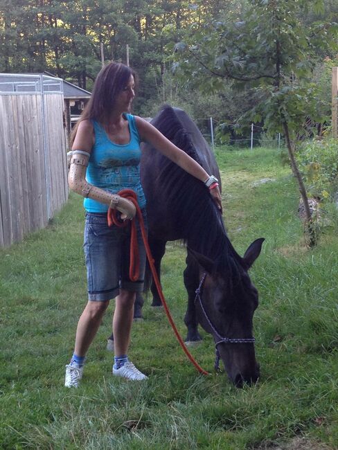 Mobilen Reitunterricht und Horsemanship, Chrissy König, Reitunterricht, Oy-mittelberg, Abbildung 2