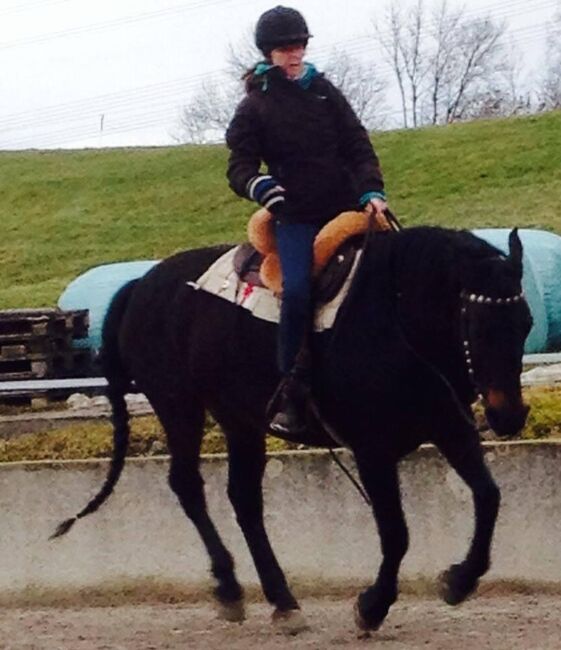 Mobilen Reitunterricht und Horsemanship, Chrissy König, Reitunterricht, Oy-mittelberg, Abbildung 3