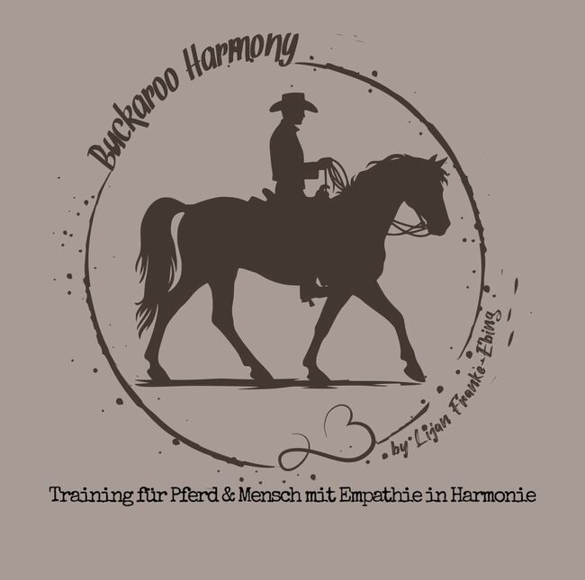 Mobiler Reitunterricht Reitkunst/Westernreiten, Lijan (Buckaroo Harmony), Reitunterricht, Schermbeck
