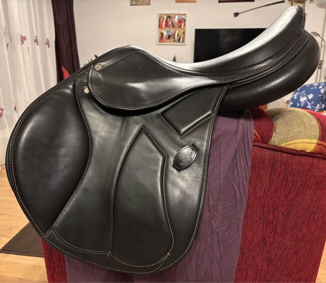 Acavallo Modigliani for sale, Acavallo  Modigliani, Katalin Nagy, Jumping Saddle, Hévízgyörk