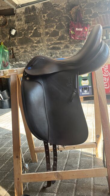 Dunkel brauner Euroriding Dressursattel, Guter Dressur Sattel mit verstellbaren Pauschen, Dominique Lüscher, Dressage Saddle, Mendig, Image 6