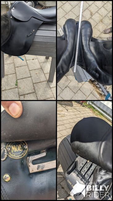 Mol springsattel gebraucht guter Zustand, Marina , Springsattel, Veringenstadt, Abbildung 11