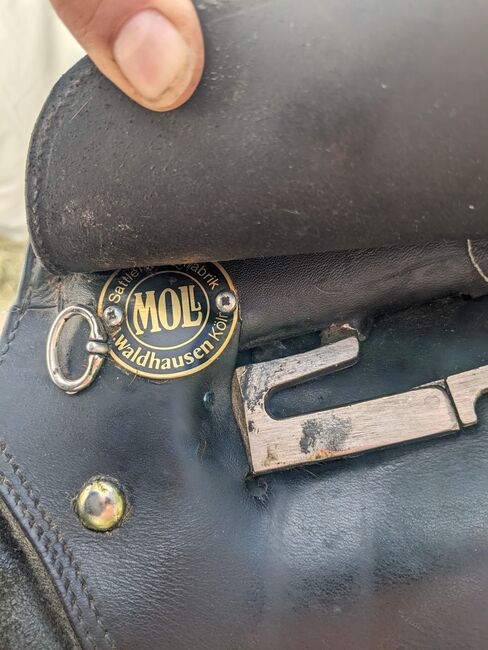 Mol springsattel gebraucht guter Zustand, Marina , Jumping Saddle, Veringenstadt, Image 3