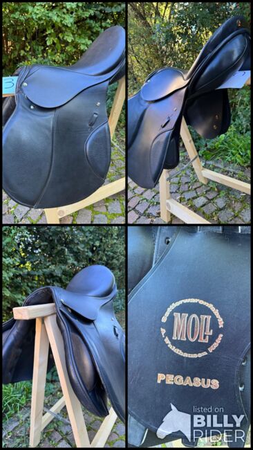 Moll Springsattel, Moll Pegasus, Renate Mehlhorn, Jumping Saddle, Uhingen, Image 5