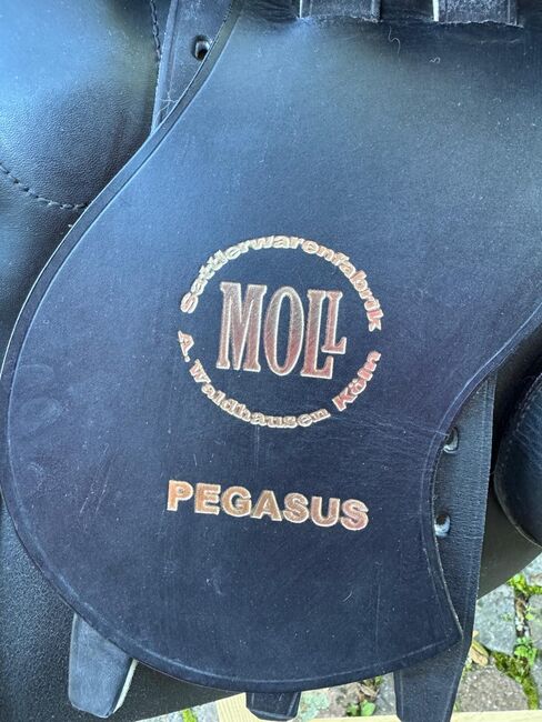 Moll Springsattel, Moll Pegasus, Renate Mehlhorn, Jumping Saddle, Uhingen, Image 4