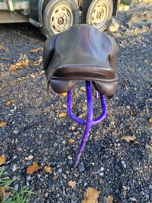 Monarch 17", Monarch , Tanya Dennis, All Purpose Saddle, Cockington, Image 2