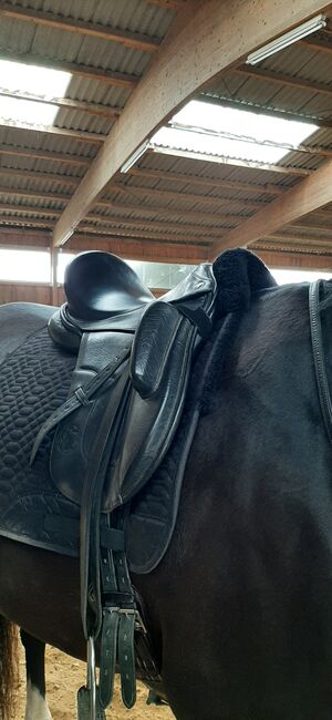 Monoblatt Dressursattel Hennig ASP 17", Hennig ASP, Maresa, Dressage Saddle, Pfullingen, Image 6