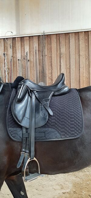 Monoblatt Dressursattel Hennig ASP 17", Hennig ASP, Maresa, Dressage Saddle, Pfullingen, Image 5