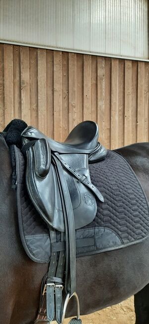 Monoblatt Dressursattel Hennig ASP 17", Hennig ASP, Maresa, Dressage Saddle, Pfullingen