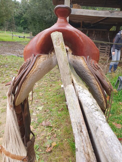 Montana Semi Quarter Western zadel Arabian, 15,5 Inch., Montana  Arabian 138, Marjolijn, Western Saddle, Almen, Image 5