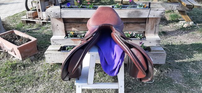 Wunderschöner brauner Springsattel Butterfly Claudia 17", Butterfly Dt. Saddlery  Claudia , Maresa, Jumping Saddle, Pfullingen, Image 4