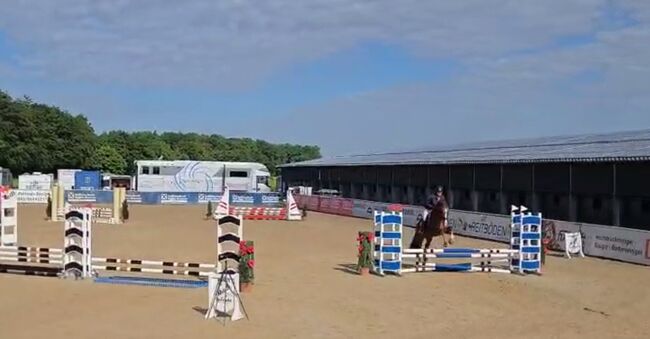 Wunderschöne 4-jährige Fuchsstute mit Top-Abstammung, Andrea Harrer, Horses For Sale, Hof, Image 5