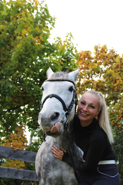 Schöne Apfelschimmel Stute, Alice Kirsch, Horses For Sale, Staßfurt , Image 7