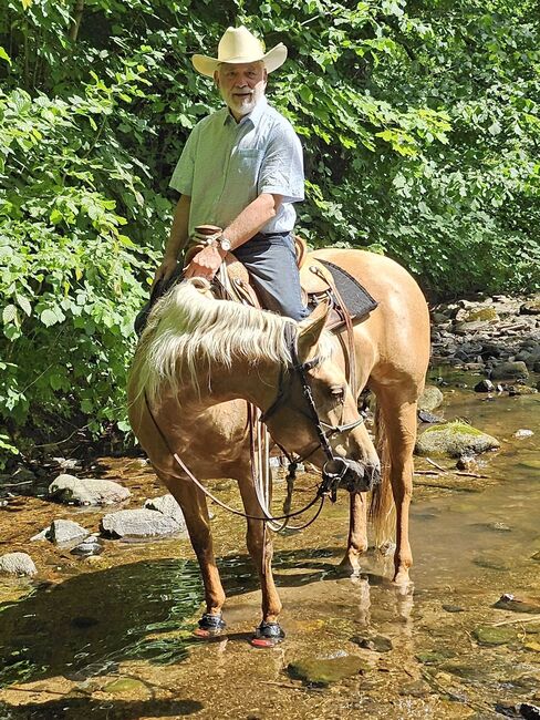 Bildhübsche Palomino (Roan) Quarter Horse Stute - Ein echter Eyecatcher mit Talent und Charakter, Kerstin Rehbehn (Pferdemarketing Ost), Horses For Sale, Nienburg, Image 22