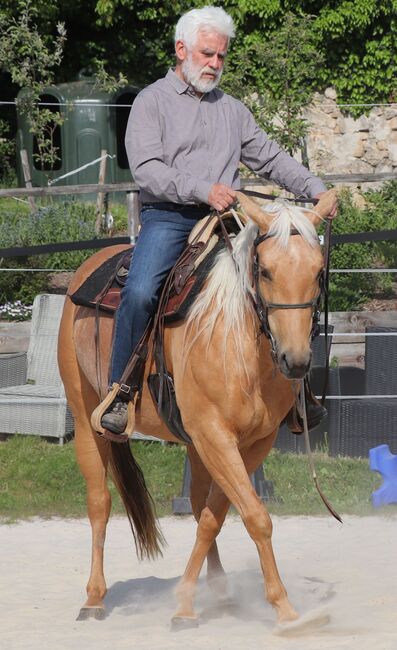 Bildhübsche Palomino (Roan) Quarter Horse Stute - Ein echter Eyecatcher mit Talent und Charakter, Kerstin Rehbehn (Pferdemarketing Ost), Horses For Sale, Nienburg, Image 21