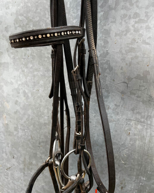 Schöne Trense mit Zügel COB, Privat , Bridles & Headstalls, Bad Wörishofen, Image 3