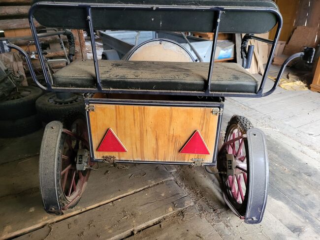 Schöner Sulky, Roman, Carriages, Degen, Image 2