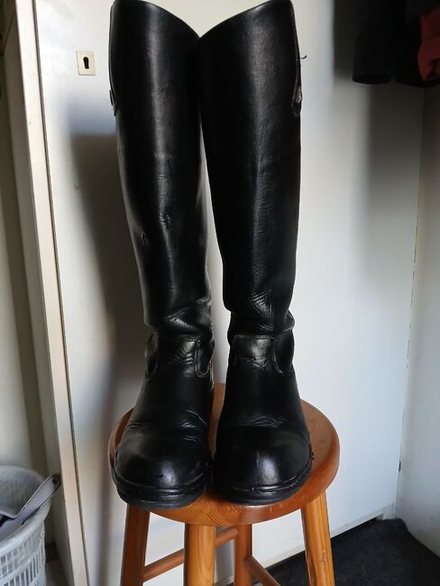 Mountain Horse Reitstiefel, Mountain Horse, Bibi, Riding Boots, Bad Bentheim, Image 5
