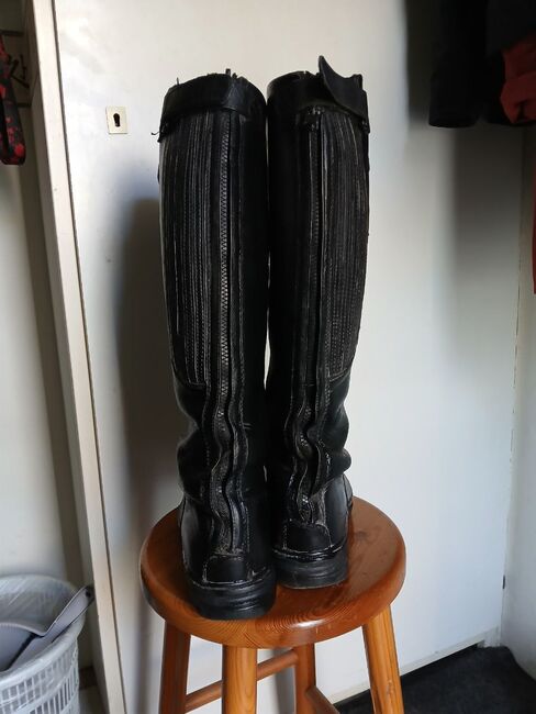 Mountain Horse Reitstiefel, Mountain Horse, Bibi, Riding Boots, Bad Bentheim, Image 2