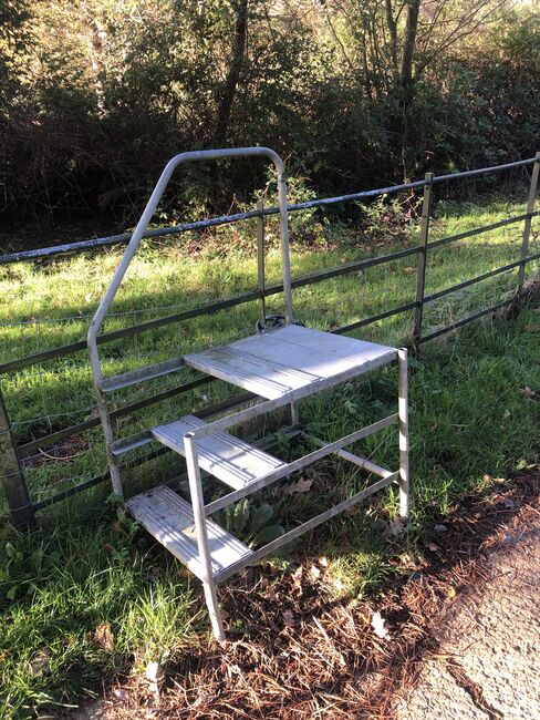 Mounting steps metal, Emma, Riding Arena, Lyne