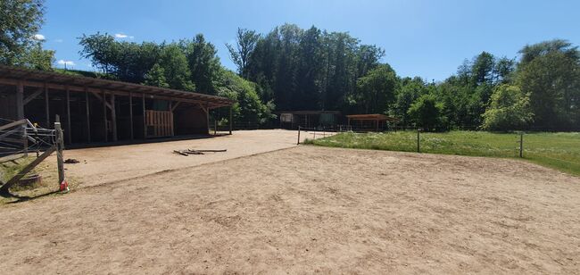 Bewegungstall Offenstall hat Platz für zwei Wallache frei, AL, Horse Stables, Lettenreuth, Image 8