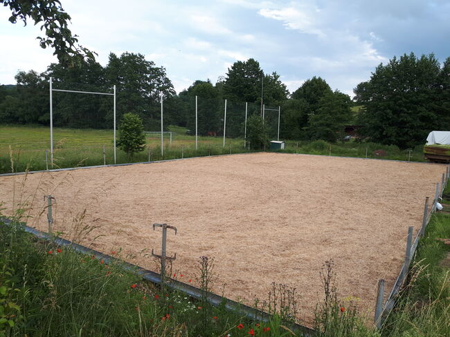 Bewegungstall Offenstall hat Platz für zwei Wallache frei, AL, Horse Stables, Lettenreuth, Image 10