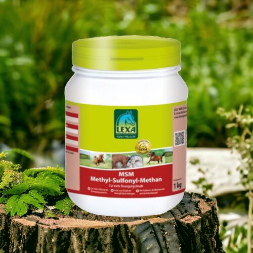 MSM (Methyl Sulfonyl Methan) 1kg UVP 20,80€, WOW Pferd  (WOW Pferd), Horse Feed & Supplements, Bayern - Attenkirchen